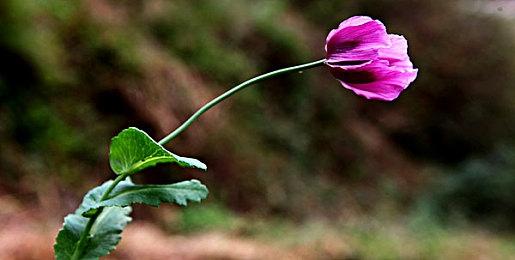 《GT7》销量略减 仍连续三周蝉联英国实体游戏销售榜冠军